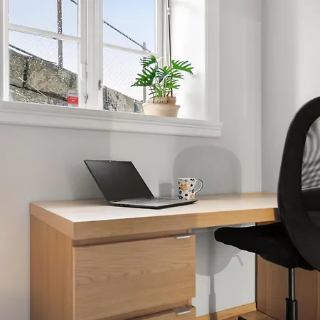 Stilfull Sentrumsnaer Apartament *